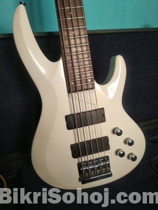 ESP LTD B105 Bass guitar